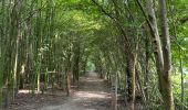 Tocht Stappen Sint-Genesius-Rode - Brassine 20240818 - Photo 1