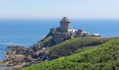 Randonnée Marche Plévenon - BOUCLE DEPUIS PLENEVON AVEC CAP FREHEL ET FORT LA LATTE - Photo 19