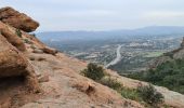 Trail Walking Le Muy - Le rocher de roquebrune  - Photo 14