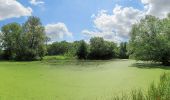 Trail On foot Unknown - Bodenkundlicher Lehrpfad Weiherfeld - Photo 10