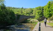 Tour Wandern Kiischpelt - Kautenbach - Sentier local KI 2 - Photo 1