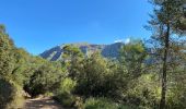 Trail Walking Escorca - GR221 # Lluc - Pollença - Photo 12