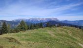 Trail Trail Gemeinde Kirchberg in Tirol - Gaisbergjoch - Photo 19