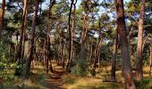 Trail Walking Lommel - Le Sahara de Lommel  - Photo 6