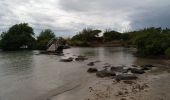 Tour Wandern Sainte-Anne - Savane des Pétrifications - Photo 17