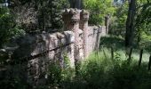 Percorso Marcia Chevinay - Saint Bonnet Le Froid - Les tours - Photo 5