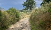 Trail Walking Pepinster - les 3 bois / cornesse  .  gofontaine  .  pepinster  .  cornesse  - Photo 2