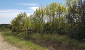 Tocht Noords wandelen Le Bosc - Le Bosc Grandmont Avril 2021 - Photo 16