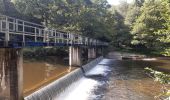 Tocht Stappen Houffalize - tour du lac des 2 ourthes - barrage de Nisramont  - Photo 14