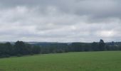 Trail Walking Habay - rando moulin d anlier 31/07/2021 - Photo 1