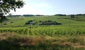 Tour Wandern Saint-Jean-des-Vignes - Le tour des villages des pierres dorées jour 4 - Photo 2