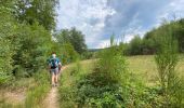 Trail Walking Gedinne - Rienne boucle presque complète 23,5 Km  - Photo 4