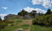 Randonnée A pied Phylé - Κάστρο Φυλής - Ρέμα Θοδώρας - Φυλή - Photo 9