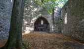 Percorso A piedi Meißner - Kupferbachtal und Wellingeröder Höhe - Photo 6