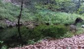 Randonnée Marche Crots - dans le boscodon avec les moines, l'ours, les dames et le ministre via belv aiguillas, cirque bragousse et l abbaye - Photo 10