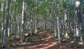 Excursión Senderismo Abetone Cutigliano - Pian-di-Novello - Poggione - Uccelliera - Poggio degli Agli - Photo 4