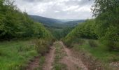 Trail Walking Aywaille - harzee  13km - Photo 10