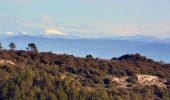 Excursión Senderismo Garéoult - L'Amarron depuis Garéoult - Photo 14