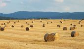 Percorso A piedi Nýrsko - [Z]-Vycházkový okruh okolím Nýrska - Photo 1