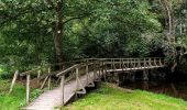 Randonnée Marche Libin - Promenade de la Lesse (8,6km)   - Photo 1