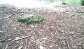Percorso Mountainbike Monnetier-Mornex - ETREMBIERES BALCON DE L ARVE - Photo 2