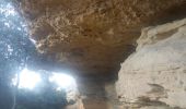 Trail Walking Istres - Le Ranquet-Istres 30.11.24 - Photo 3