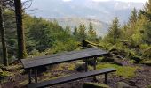 Trail Walking Kirchberg - Lachtelweiher - fermes auberges - Photo 10