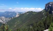 Tocht Stappen Romeyer - Dieois - Rochers de plautret - Jul20 - Photo 4