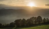 Tour Zu Fuß Castellarano - Croce di San Valentino - Montebabbio - Telarolo - Monte Maestà Bianca - Photo 1