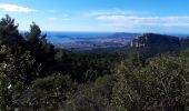 Tour Wandern Le Revest-les-Eaux - Le Mont Caume-17-03-21 - Photo 5