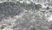 Percorso Marcia Oberhaslach - oberhaslach - Photo 1
