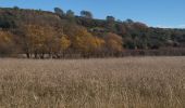 Percorso Marcia Flassans-sur-Issole - Flassans Sur Issole le lac Redon - Photo 3