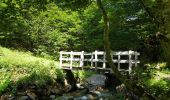 Trail Walking Aulus-les-Bains - Cascade de Fouillet Ariége - Photo 8