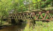 Percorso A piedi Wadern - Von Felsen und Burgen - Photo 3