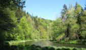 Excursión A pie Salzweg - Naturlehrpfad Halser Ilzschleifen - Runde 1 - Photo 3