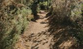 Tour Wandern Le Bono - boucle Bono, Ste Savoye, St Goustan  - Photo 10