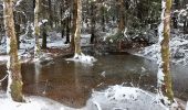 Trail Walking Waimes - Baraque Michel - Photo 1