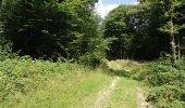 Trail Walking Sivry-Rance - Rance - Circuit Natura 2000, des sites qui valent le détour - Ht09 - Photo 7