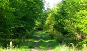 Tour Wandern Tracy-le-Mont - en forêt de Laigue_2_Le Petit Octogone et l'Octogonet - Photo 4