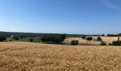 Excursión  Castelnau-de-Montmiral - Chemin de Gradille avec chapelle  - Photo 10