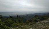 Trail Walking Bonnieux - Forêt des Cèdres - Photo 3