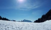 Tour Wandern Saint-Christophe-sur-Guiers - La Ruchere - Col de l'Allienard - Photo 3