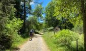 Trail Walking Dourbies - Dourbies -Meyruis 23 km - deuxième étape tour du mont Aigual - Photo 9