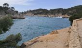 Trail Walking Cassis - Cassis  port miou, morgiou   - Photo 13