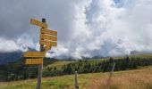 Trail Walking Theys - Col du Merdaret, Roche Noire au départ de Pipay  - Photo 11