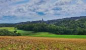 Tour Wandern Anhée - Balade de Denée à Ermeton-sur-Biert - Photo 10