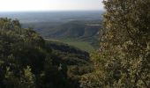 Tocht Stappen Cazevieille - Pic St Loup  - Photo 10