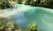 Tocht Stappen La Bastide - LA BASTIDE - DU BROUIS A L'ARTUBY - Photo 12