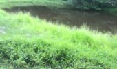 Trail Trail Sainte-Anne - Saint Anne  - Photo 4