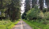Randonnée Marche Theux - au sud de Bronrome  - Photo 20